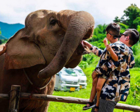  清迈、清莱5晚7日 特价活动