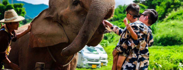  清迈、清莱5晚7日 特价活动