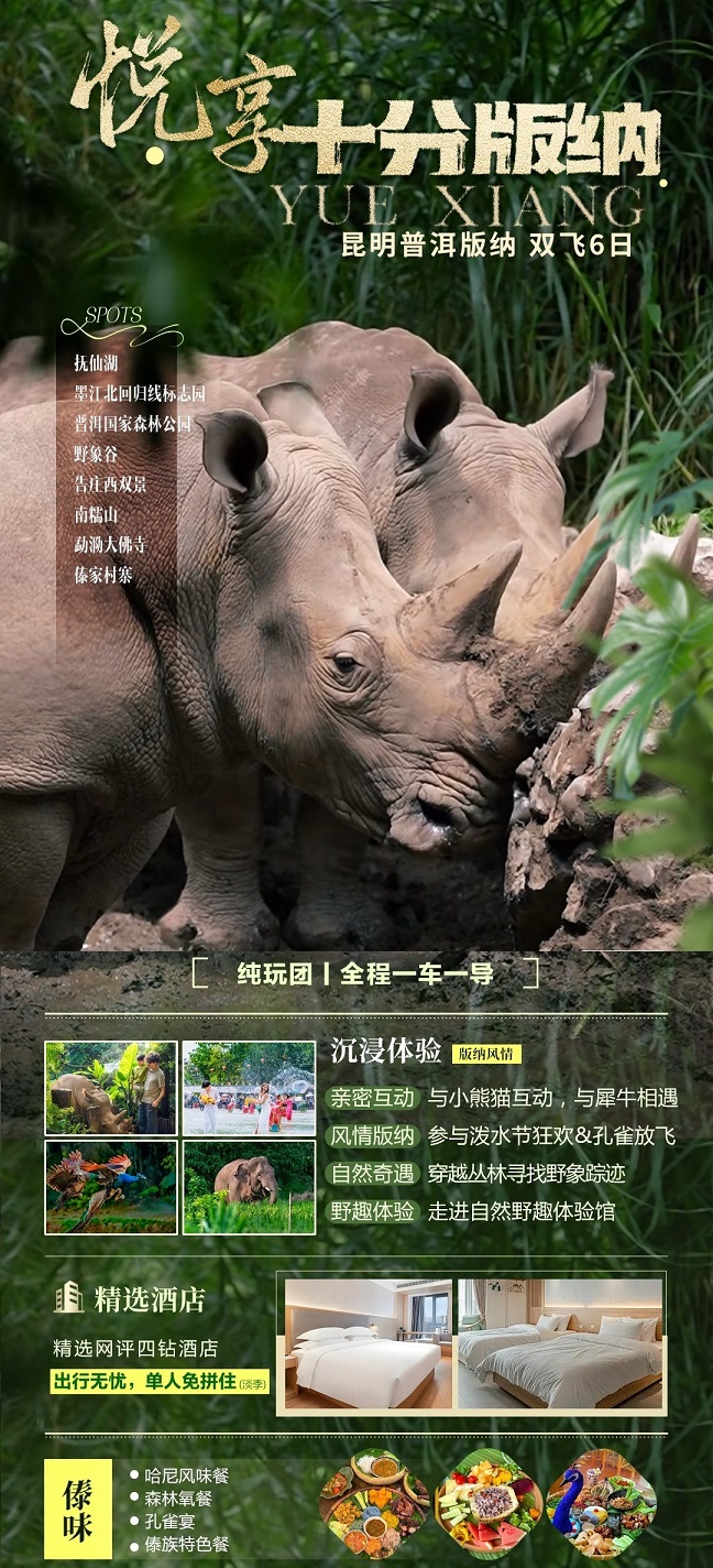 26年-十分版纳_副本