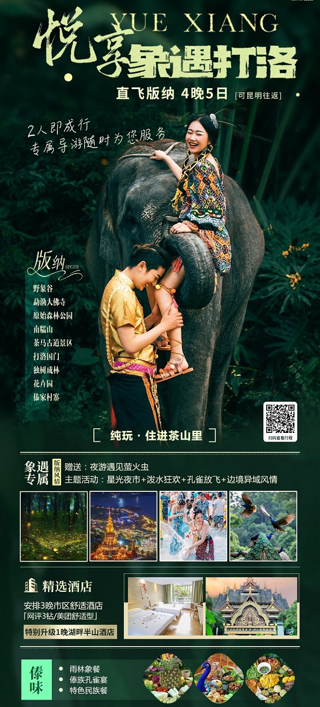 26年-悦享-象遇打洛_副本