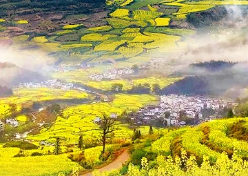 锦绣惠江西双飞5日游  龙虎山 望仙谷 瓷都景德镇 篁岭 鄱阳湖 庐山三叠泉